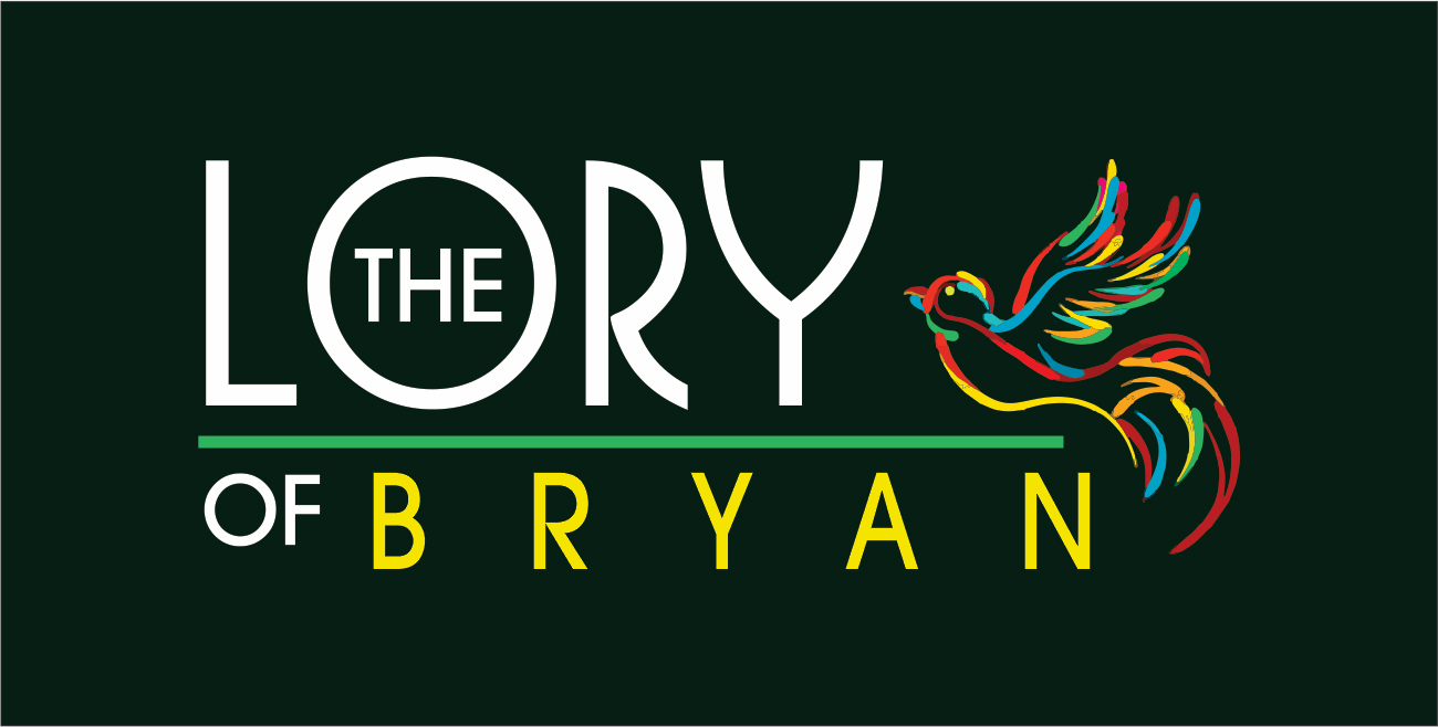the joy logo with colorful bird on a green background